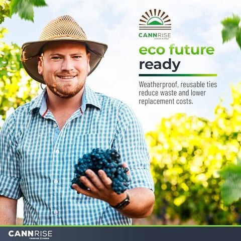 Secure hold on heavy clusters with Cannrise anchor bands without traditional wires.