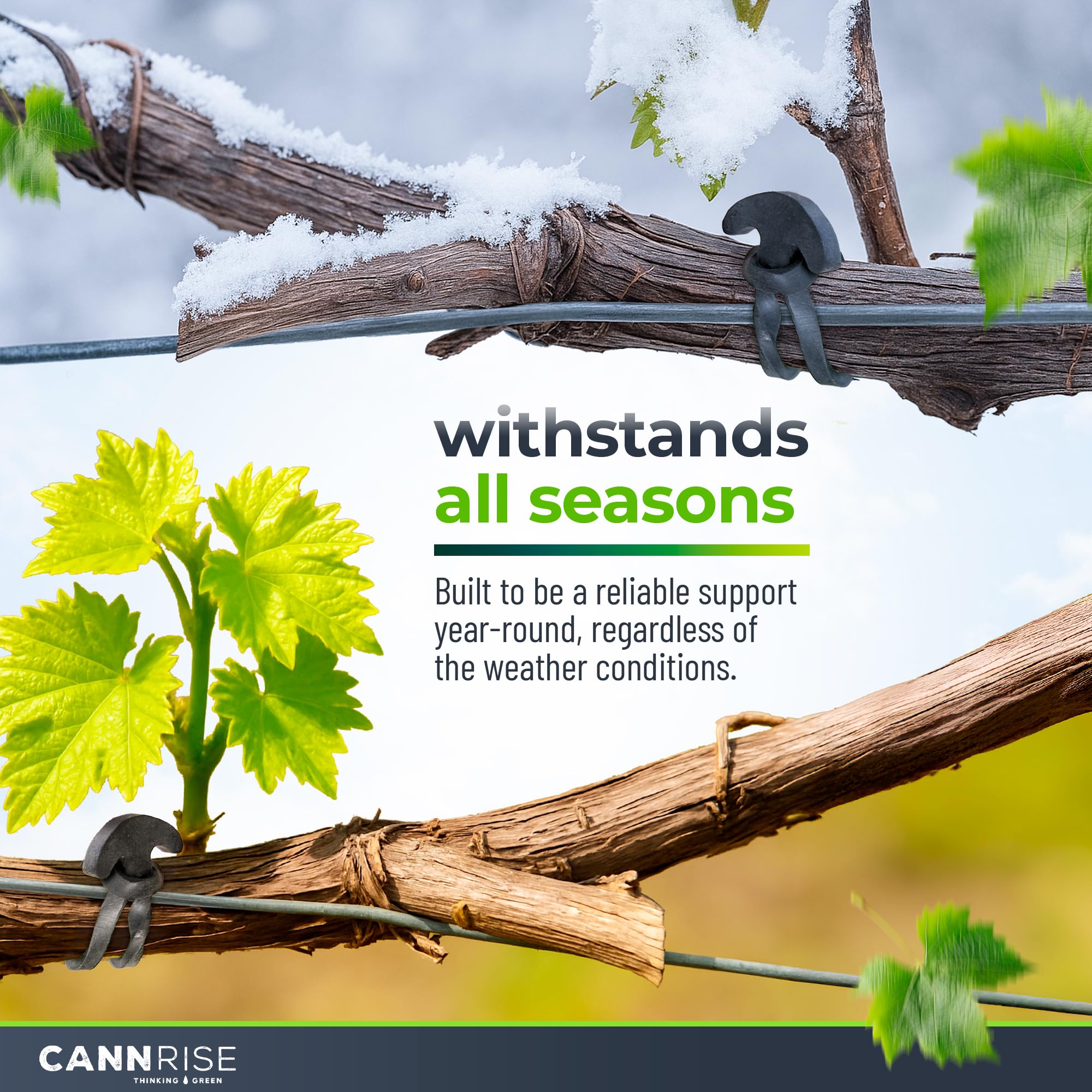 Soft, non-girdling Cannrise ties cushion stems while guiding growth.
