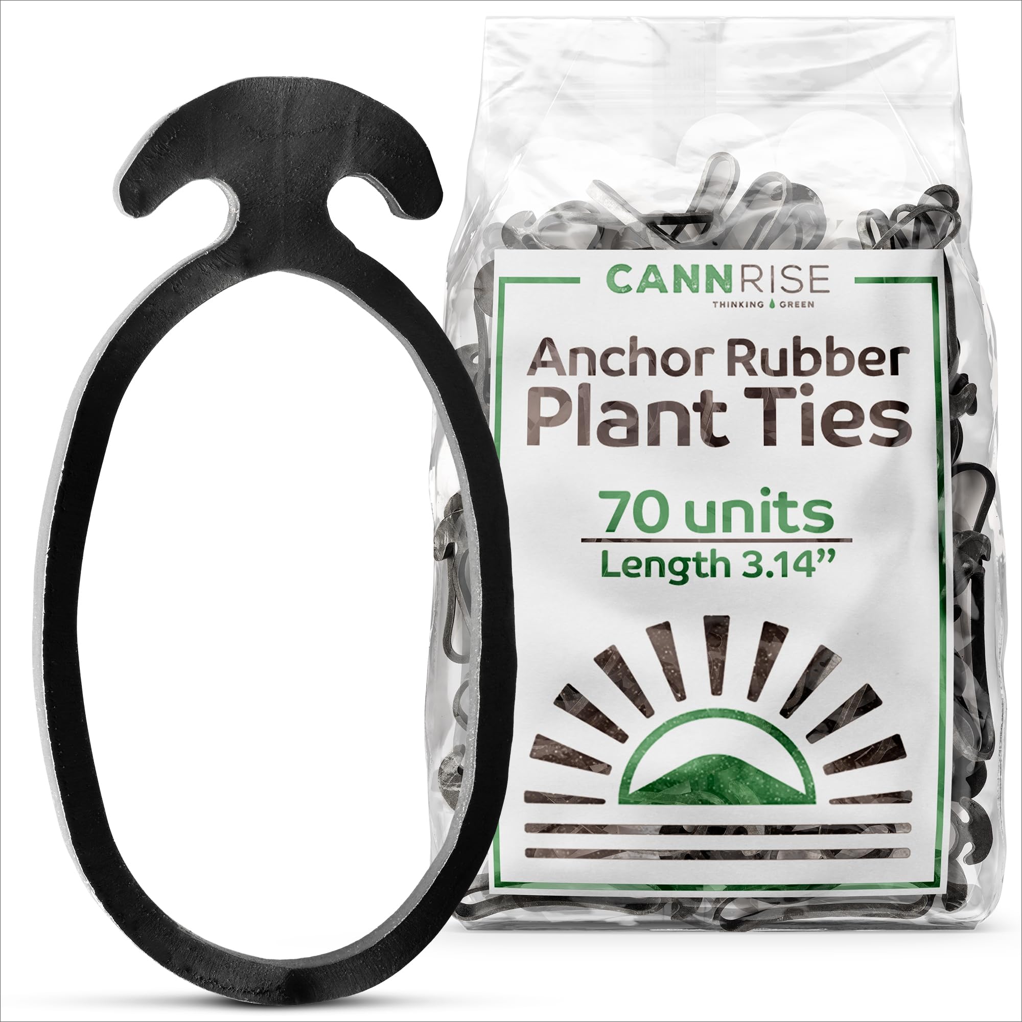 Cannrise anchor bands on trellis in use, providing gentle secure support for climbing vines.