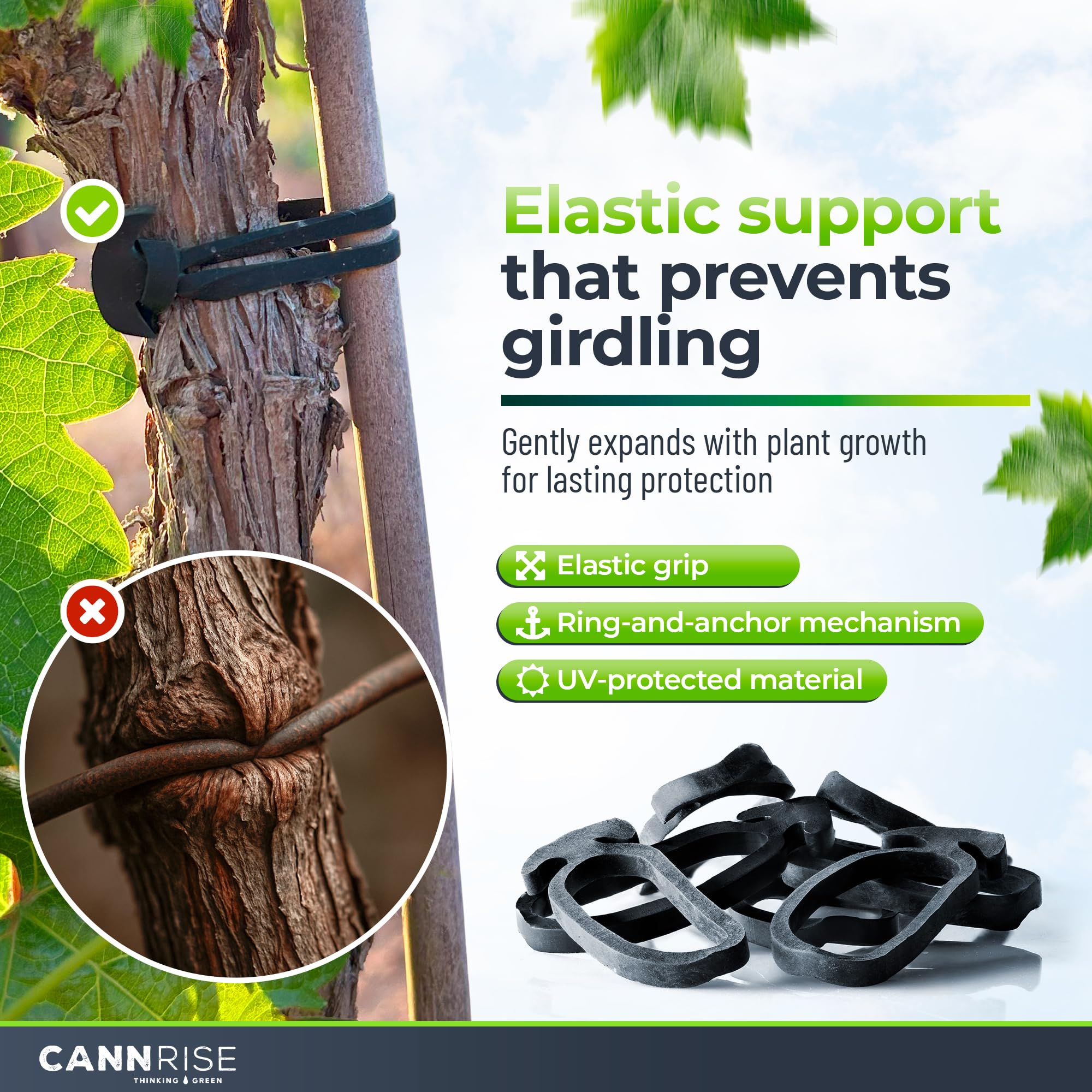 UV-protected rubber Cannrise bands endure sun and rain for year-round trellising.
