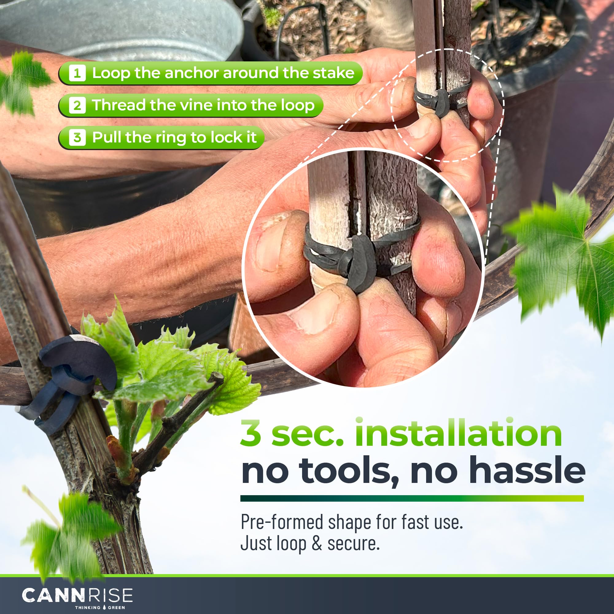 Versatile Cannrise bands support vines, fruit trees, and vegetables in one system.