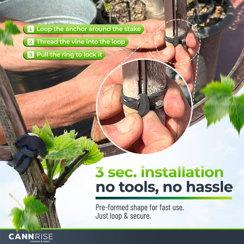 Versatile Cannrise bands support vines, fruit trees, and vegetables in one system.