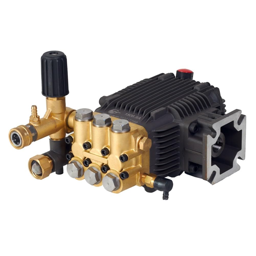 CANPUMP CF3030G brass manifold provides durable, high-pressure performance.