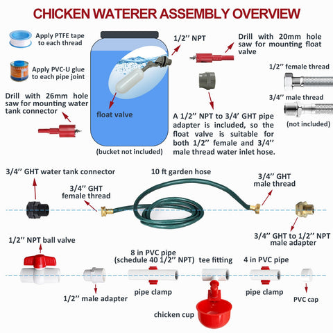 Canvino chicken water cups provide spill-free watering for a clean coop