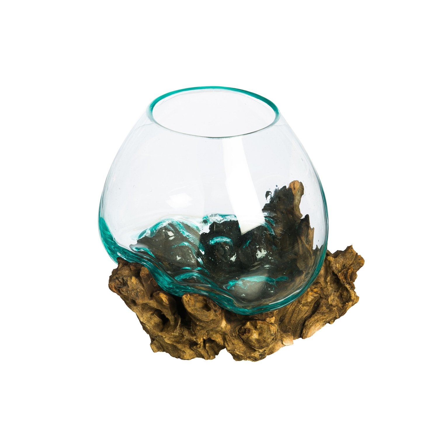 Cape Craftsmen 10-inch blue-tinted bubble glass terrarium on driftwood, ideal for succulents.