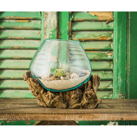 Cape Craftsmen coastal boho table decor terrarium for plants and mini scenes.