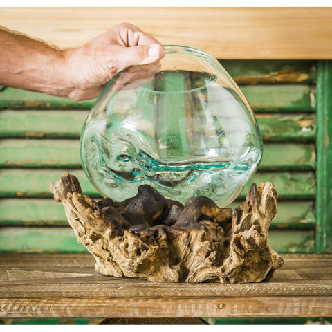 Cape Craftsmen hand-blown glass terrarium vase on driftwood base for a unique centerpiece.