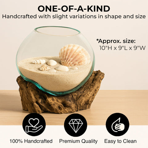 Cape Craftsmen driftwood stand supports glass terrarium for a stable tabletop display.