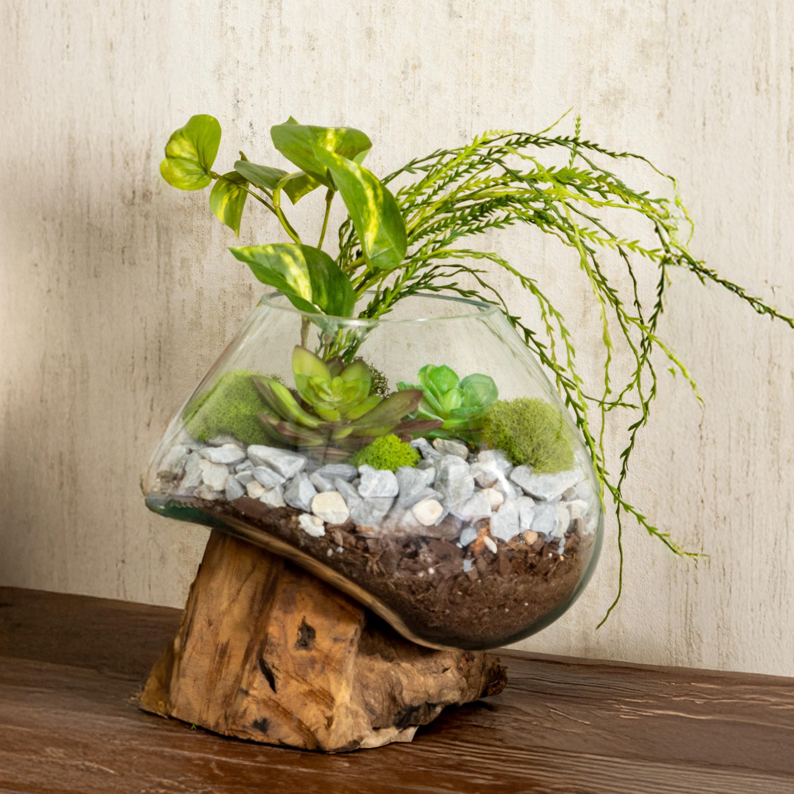 Cape Craftsmen terrarium kit gift idea for nature lovers and photographers.