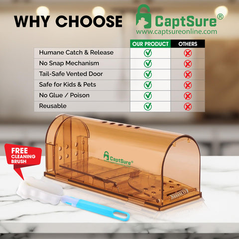 CaptSure pet-safe mouse trap versatile for both indoor and outdoor spaces.
