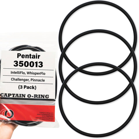 Captain O-Ring 350013 lid O-Ring close-up for a compatible Pentair pump seal.