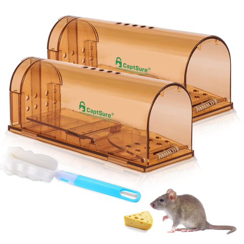CaptSure humane mouse trap indoor front view shows a safe catch-and-release option