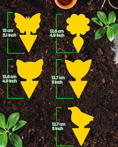 Carbelina indoor plant pest traps with easy peel-and-stick setup.
