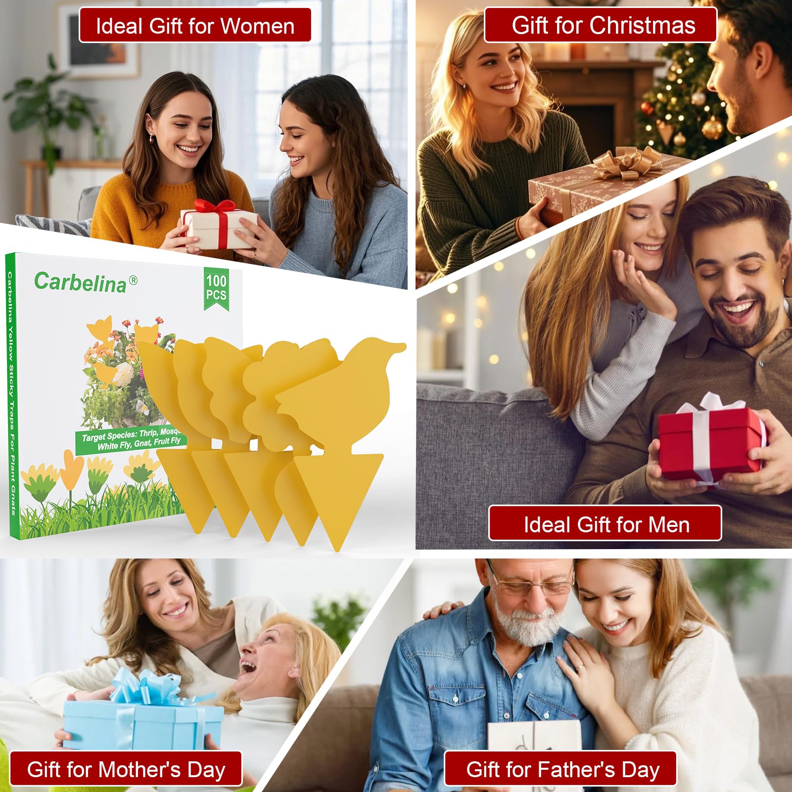 Carbelina 100pcs pack traps provide easy, odorless pest control.