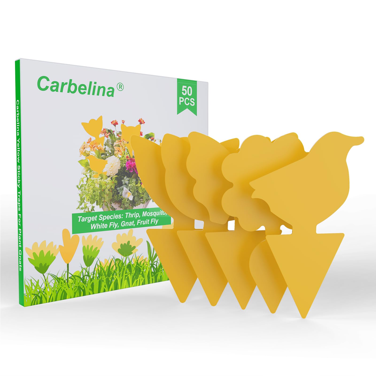 Carbelina Gnat Traps indoor packaging: compact, ready-to-use design for quick placement.