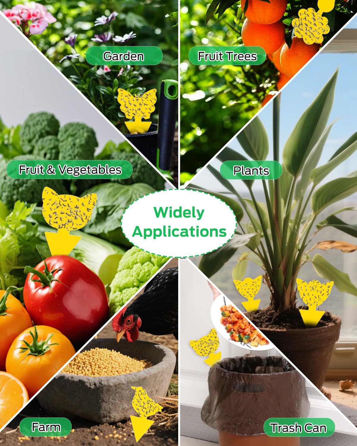 Carbelina Gnat Traps sticky surface: disposable, odorless protection for plants.
