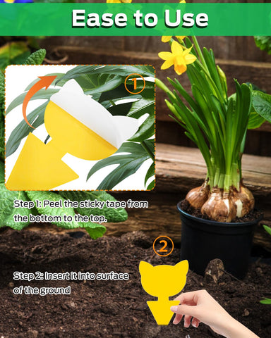 Carbelina Gnat Traps waterproof and sunproof: durable indoors for year-round use.