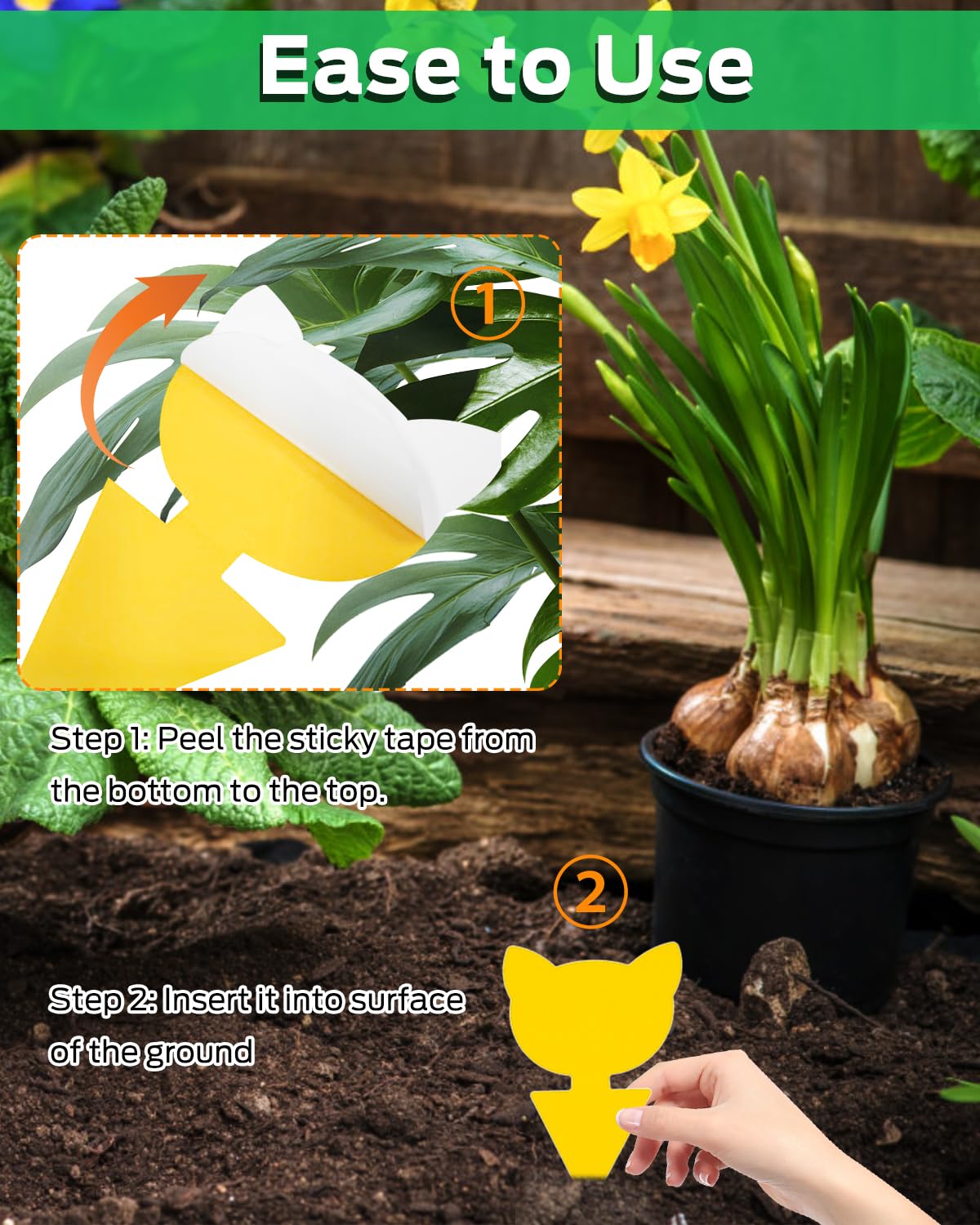 Carbelina disposable odorless traps simplify pest control around vegetables.