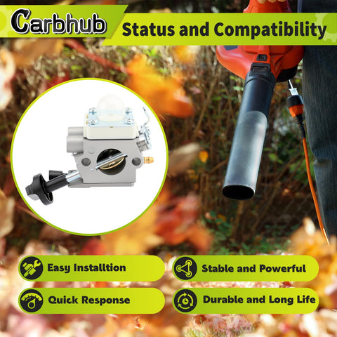 Carbhub BG56 oil seals, durable seals for long-lasting fit.