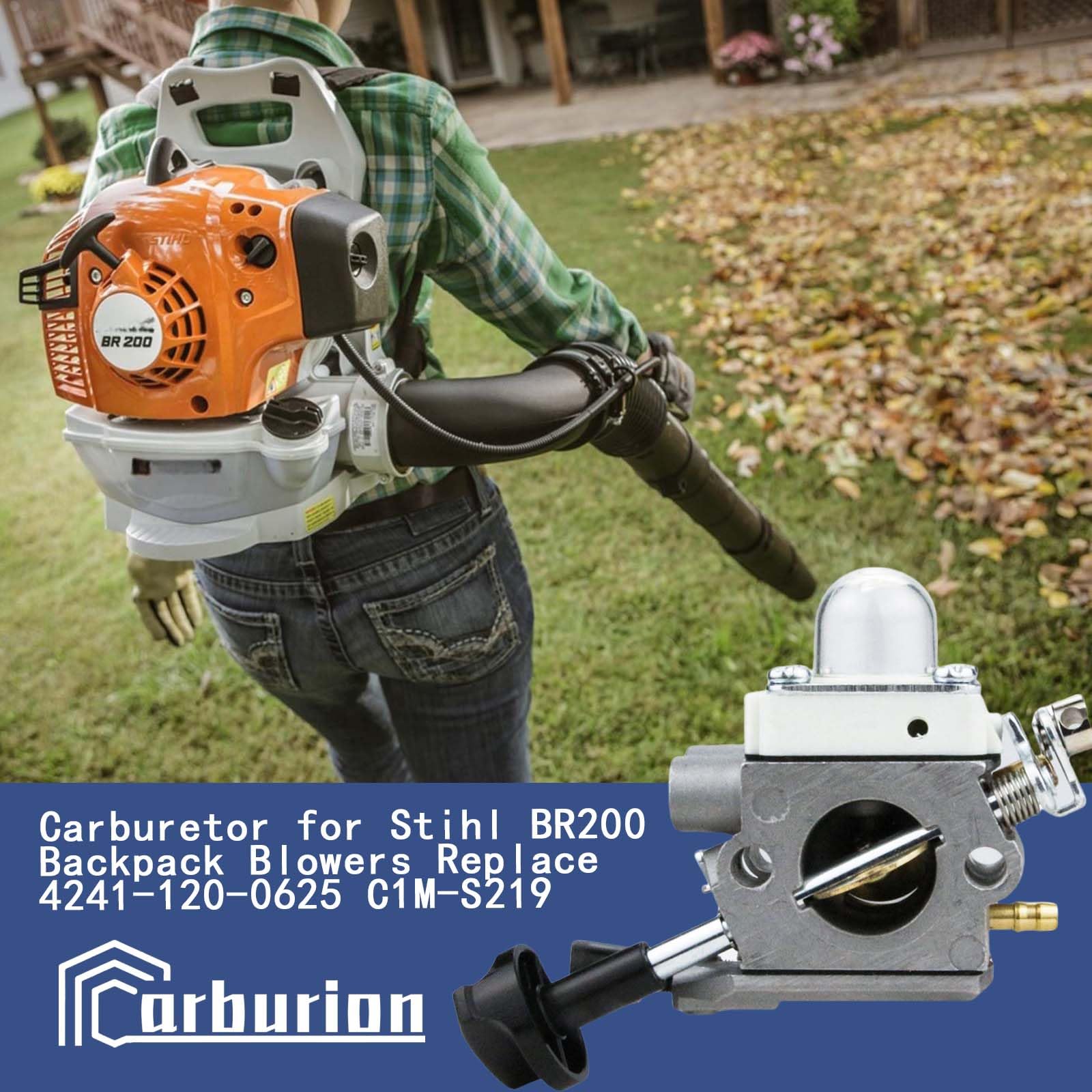 Carburionix BR200 gasket set included with the kit