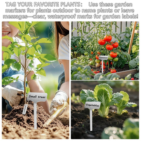 CareForge plant label stakes set arranged in a garden bed for clear plant identification.
