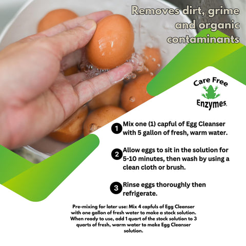 CareFree Enzymes back label with GRAS status and usage hints.
