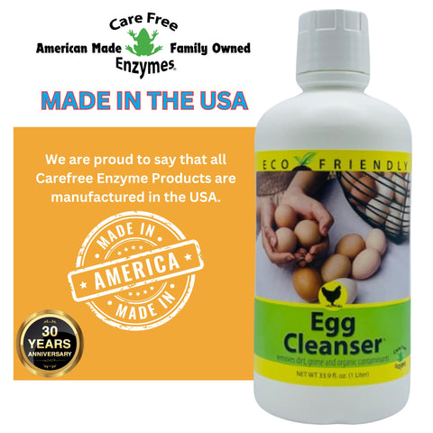 Backyard chickens using CareFree Enzymes in a homestead egg cleaning routine.