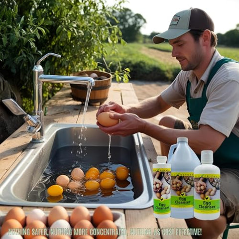 CareFree Enzymes washing eggs in bowl; gentle, effective cleaning of fresh eggs.