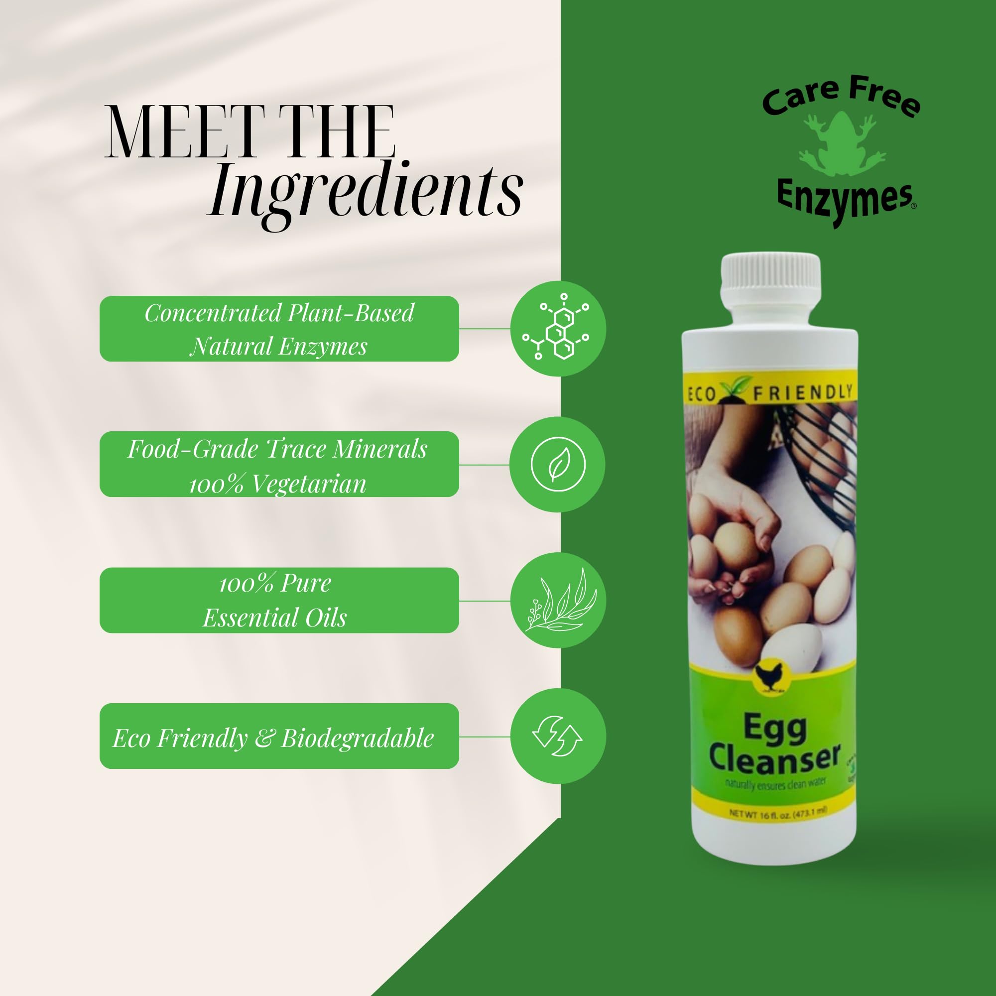 CareFree Enzymes bottle in kitchen setting for home use.