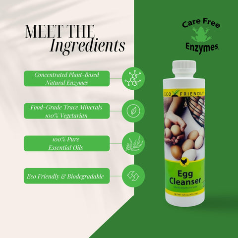 CareFree Enzymes bottle in kitchen setting for home use.