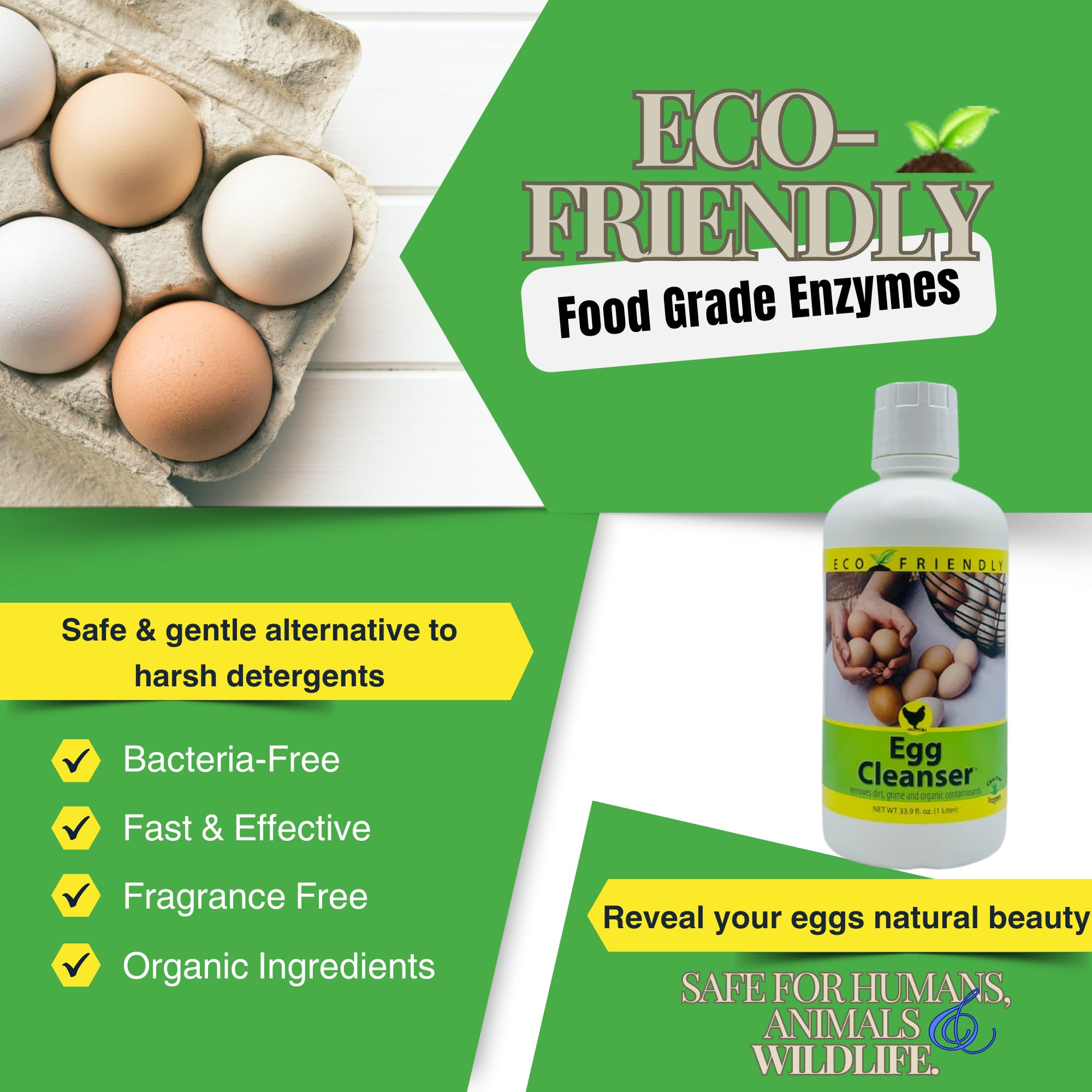 CareFree Enzymes made in USA label close-up; supporting American manufacturing.