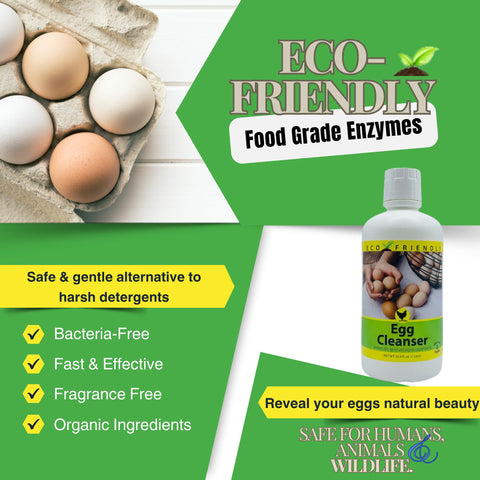 CareFree Enzymes made in USA label close-up; supporting American manufacturing.
