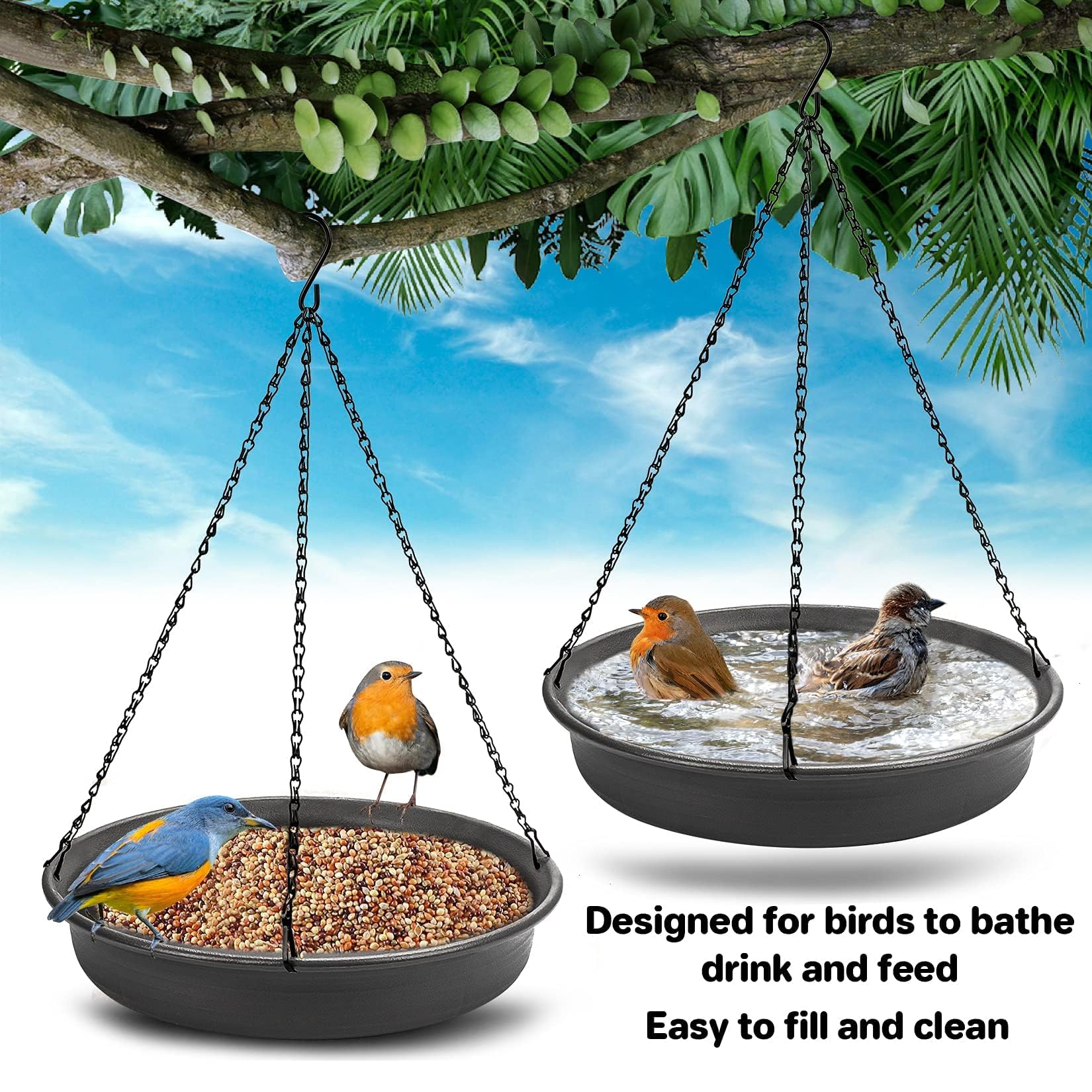 CARGEN multi-bird attraction in yard showing lively feeding and bathing.