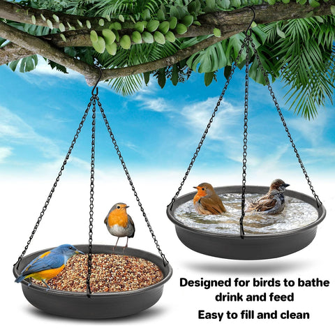 CARGEN multi-bird attraction in yard showing lively feeding and bathing.