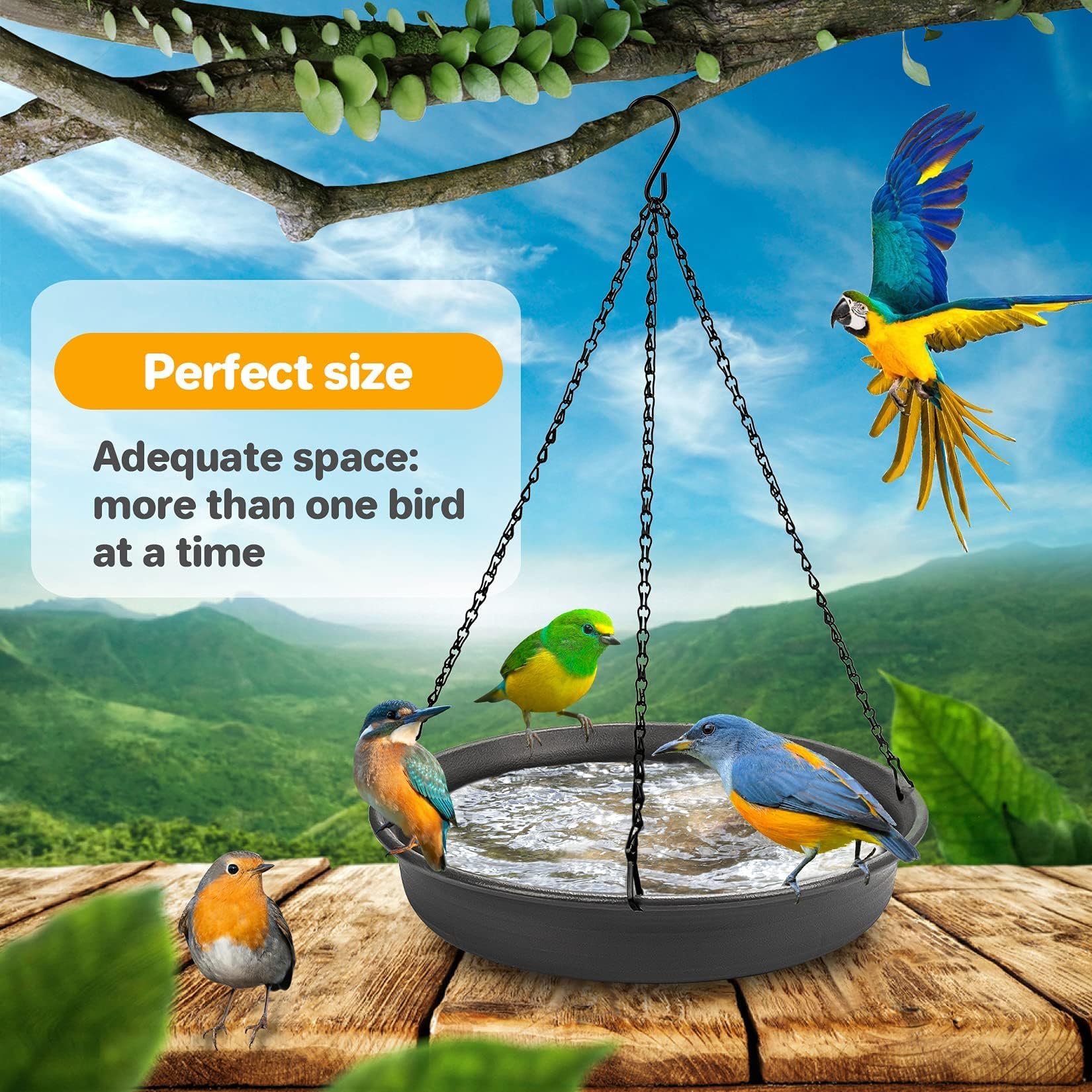 CARGEN wide shallow bird feeder bowl supports multiple birds at once.