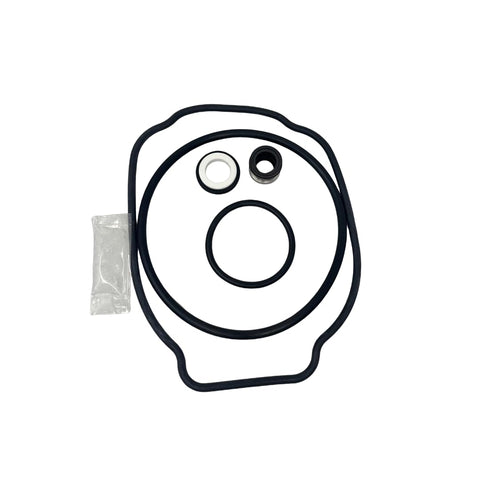 Carjo Hayward SPXHKIT100 lid O-ring for durable seal maintenance.