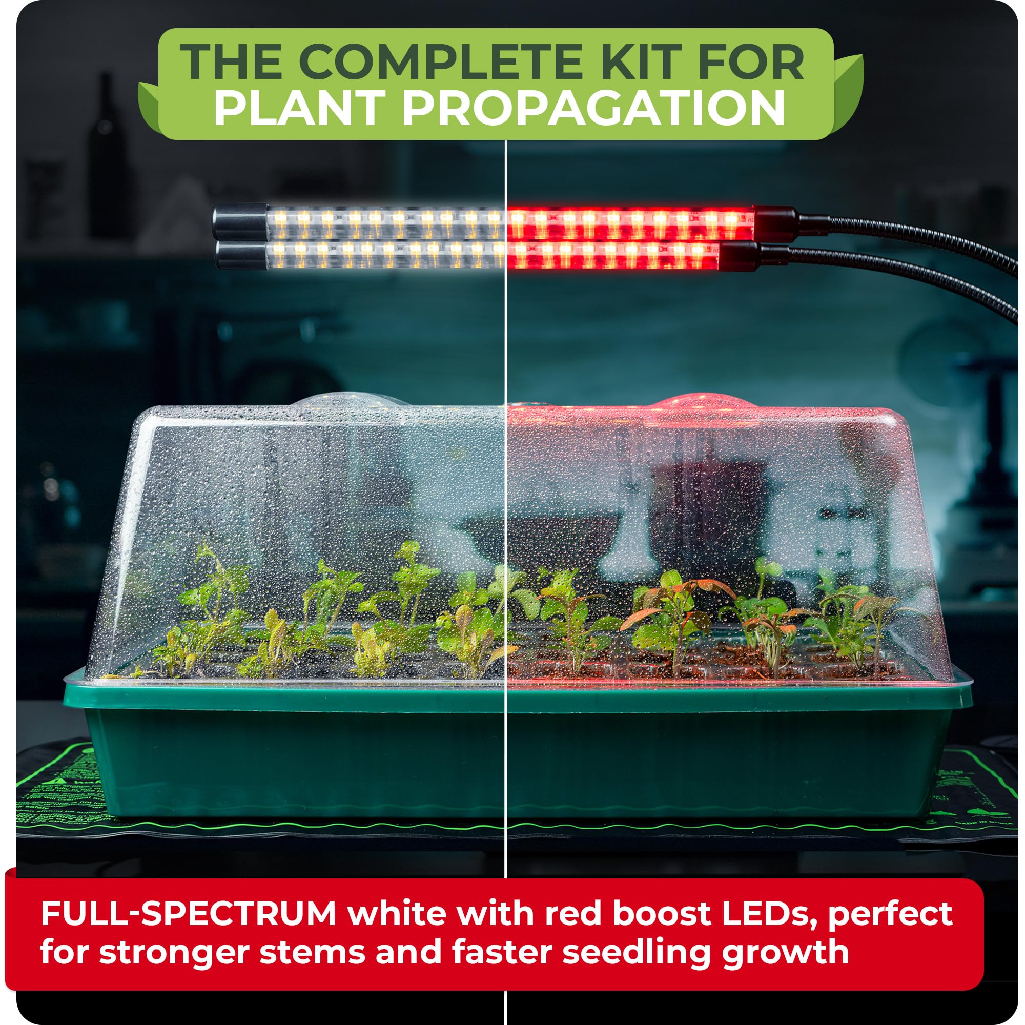 CARPATHEN humidity dome 4-7 inch locks in moisture for faster germination