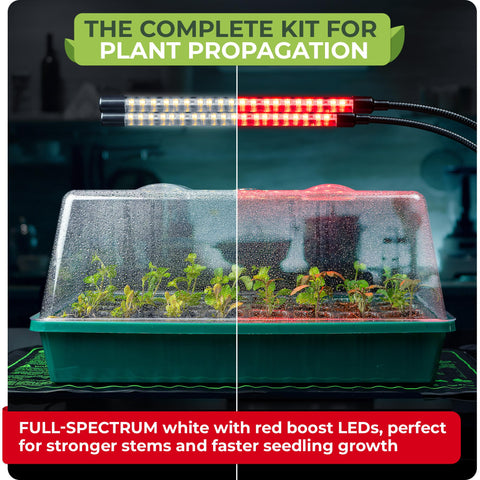 CARPATHEN humidity dome 4-7 inch locks in moisture for faster germination
