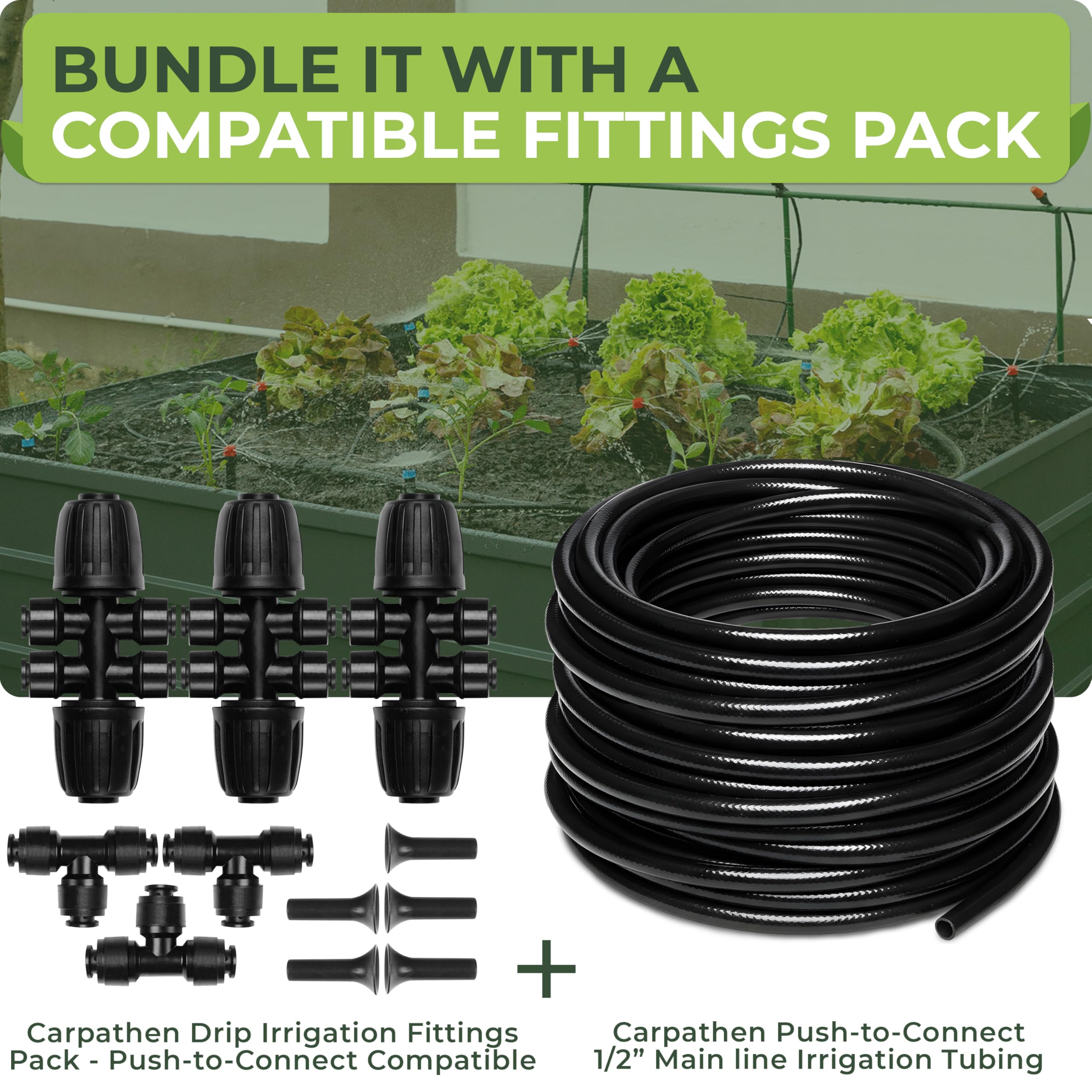 Carpathen raised-bed watering with drip tubing for even moisture.