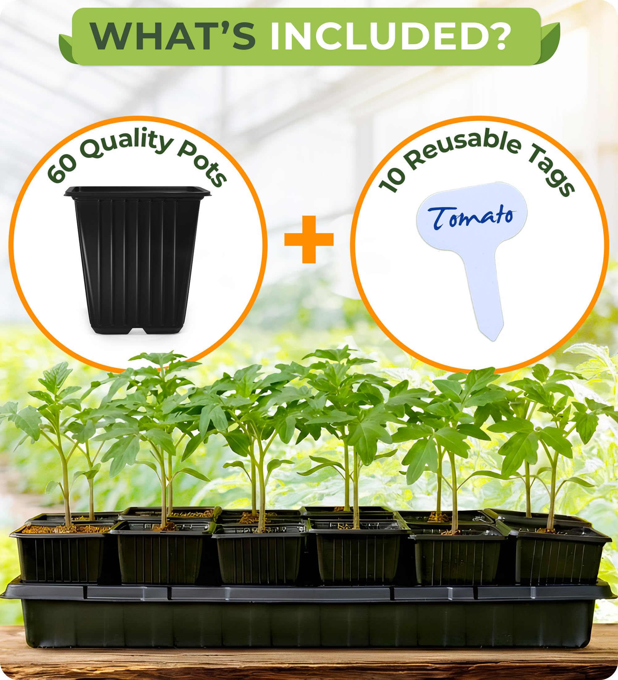 Carpathen seedling pots fit 1020 flats for space-efficient setup.