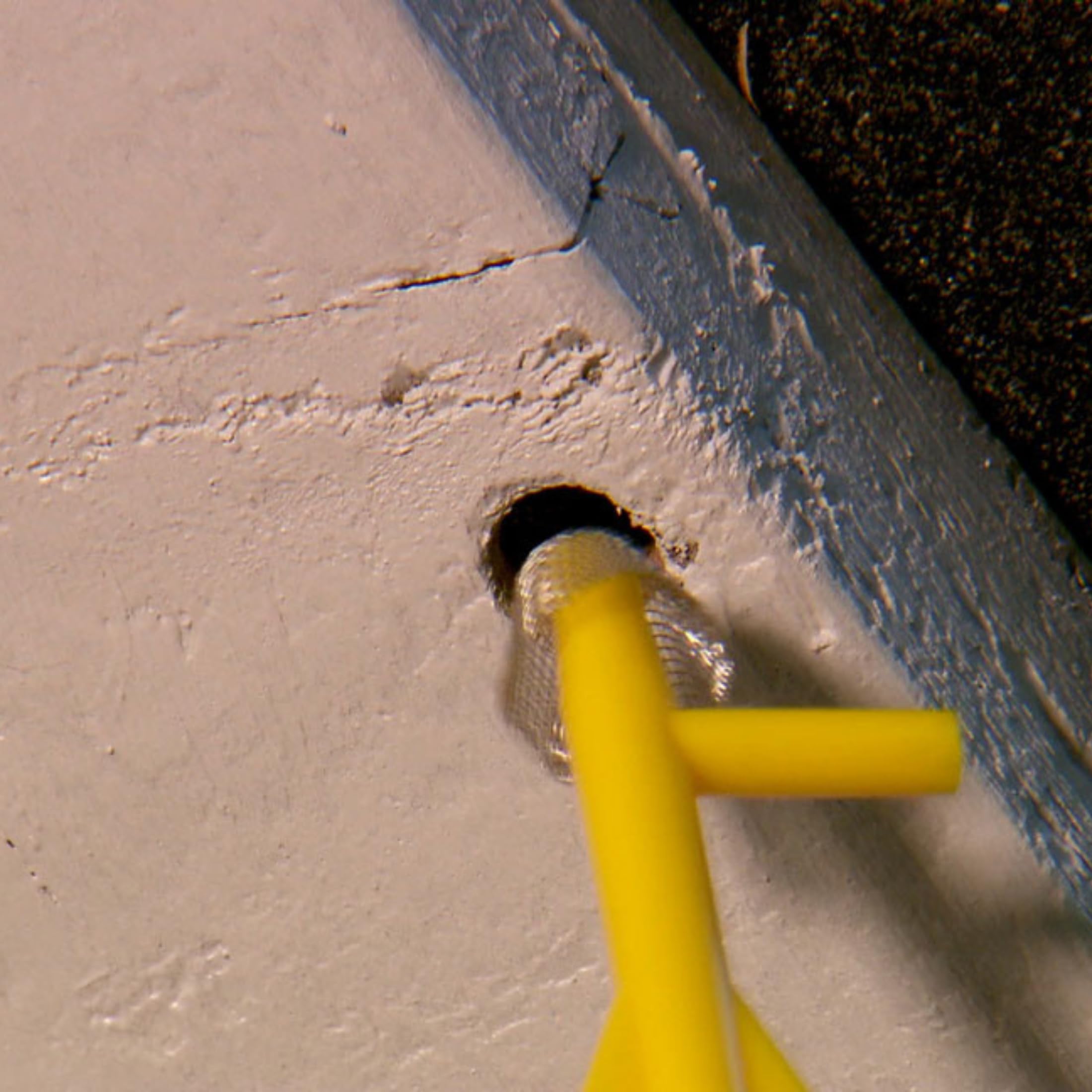 Carpenter Bee Blocker Pro extension pole reaching hard-to-reach gaps