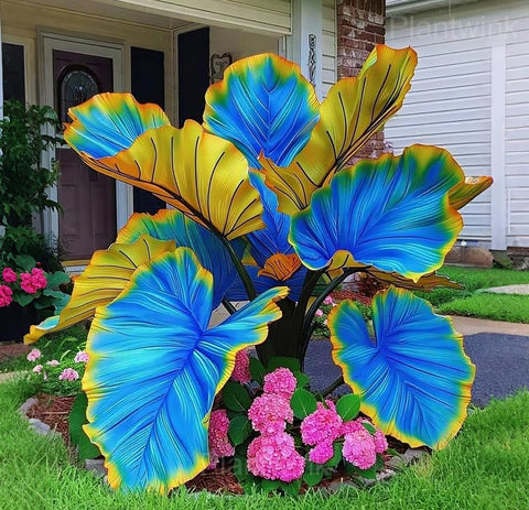 Carpet Creeping Caladium seeds designed for versatile outdoor spaces and long-lasting color.