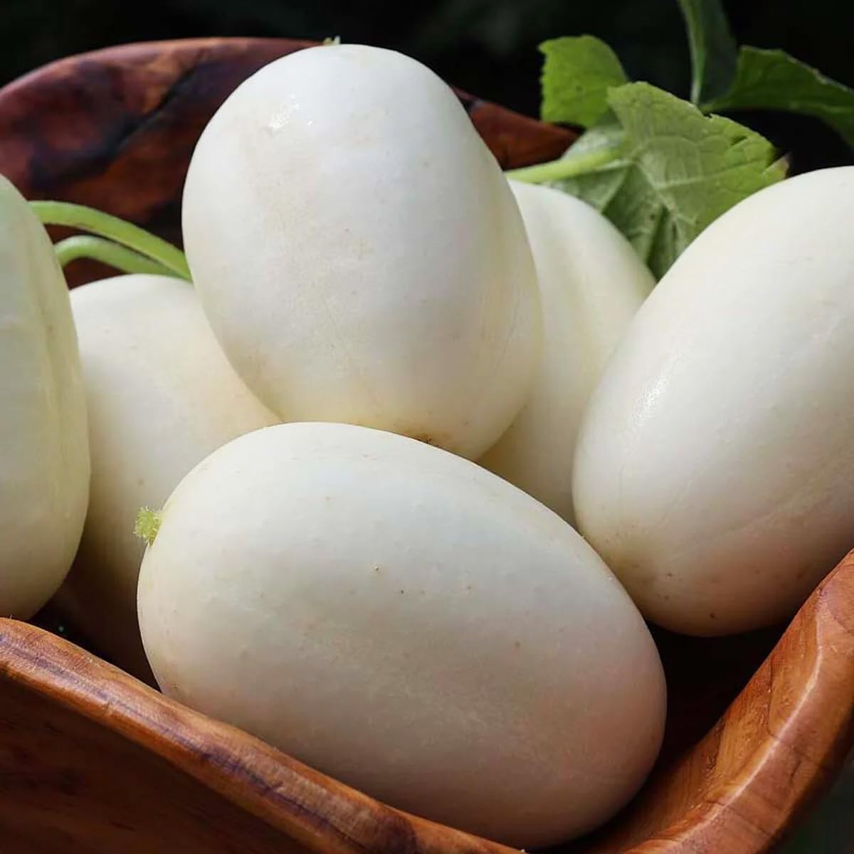 Carpet Creeping Dragon's Egg cucumber seeds provide mild, sweet flavor for fresh salads.
