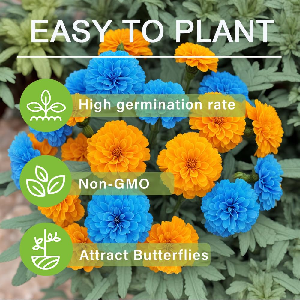 Carpet Creeping seeds suit beds, borders, or vegetable gardens for versatile beauty.