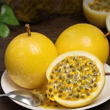 Carpet Creeping heirloom yellow passion fruit seeds for non-GMO cultivation
