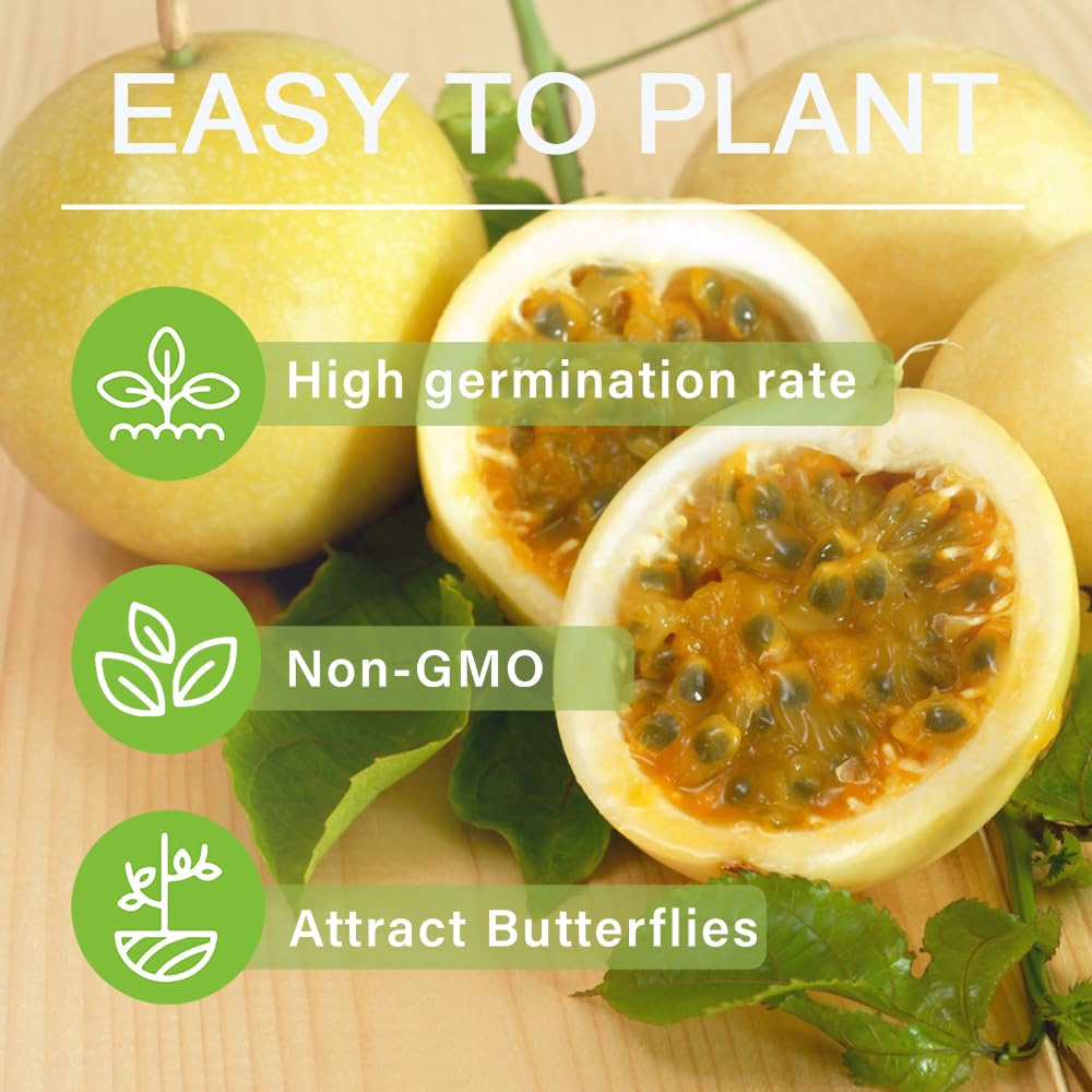 Carpet Creeping non-GMO seeds kit for vibrant backyard harvest