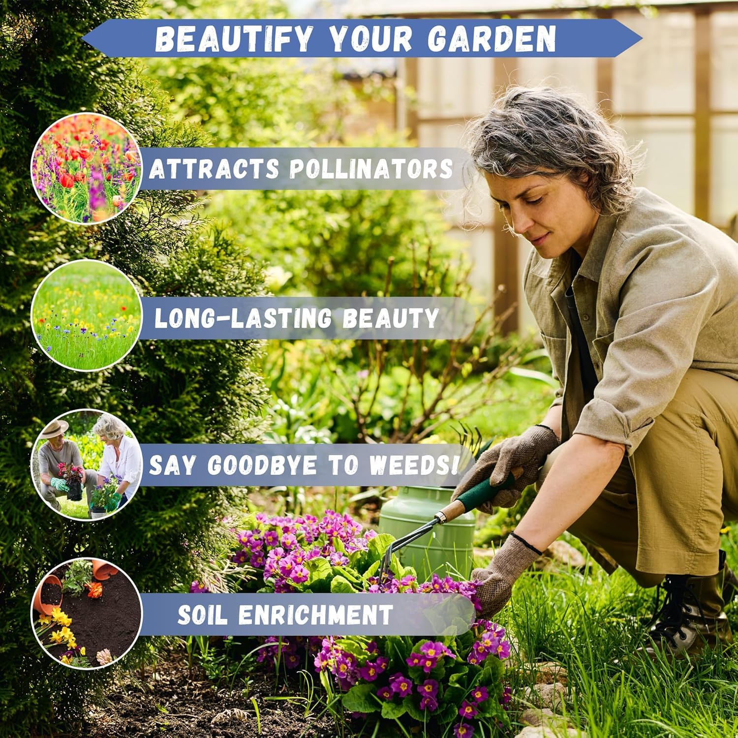 Carpet Creeping Verbena ideal for mixed beds and borders