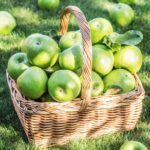 Carpet Creeping apple seeds for outdoor planting enable a thriving home orchard.