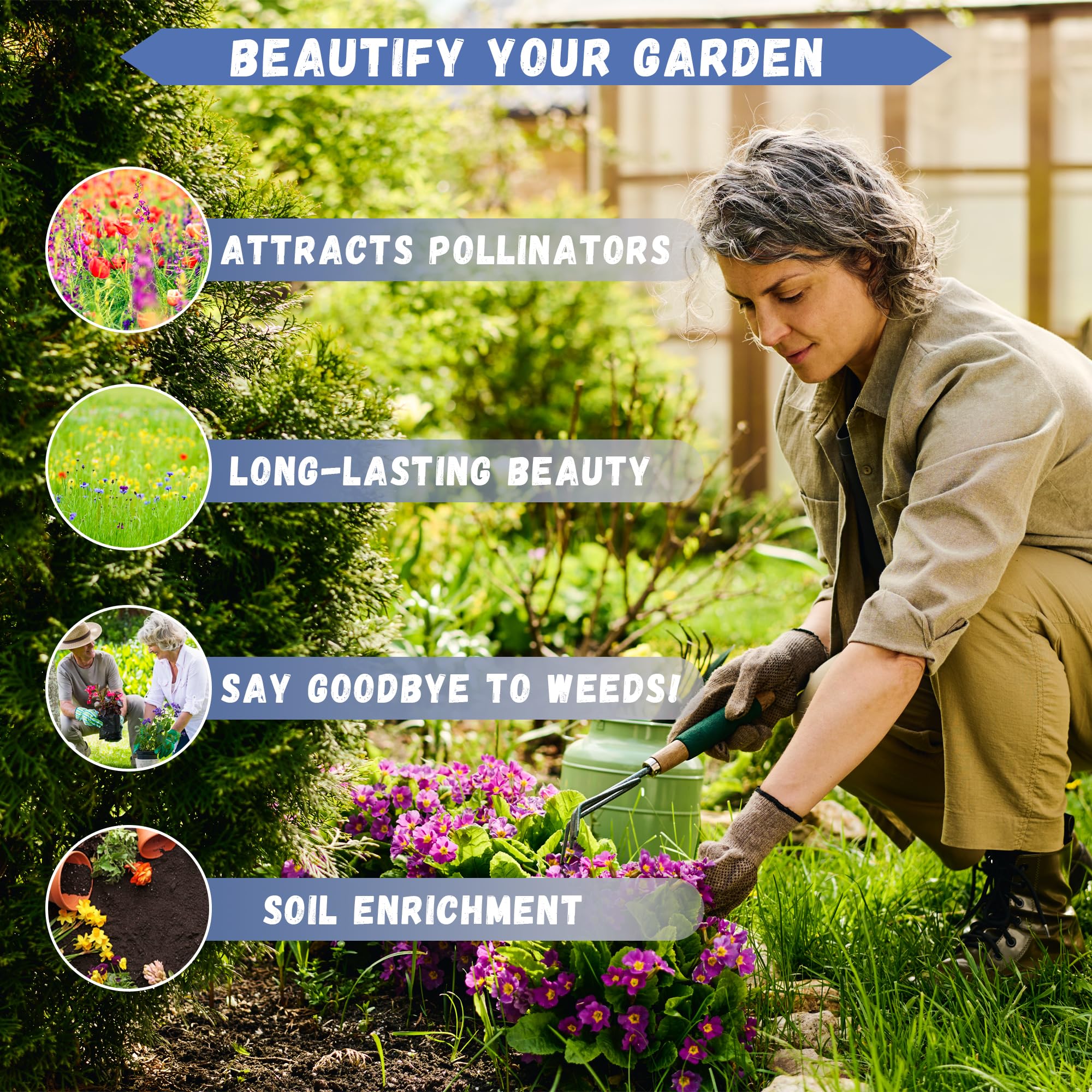 Bees and butterflies visit the daisies, supporting a natural pollinator-friendly space.