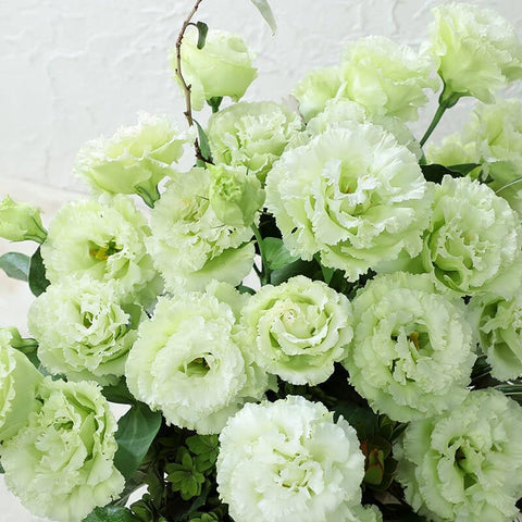 Carpet Creeping lisianthus seeds support bouquet-quality flowers for cut arrangements.